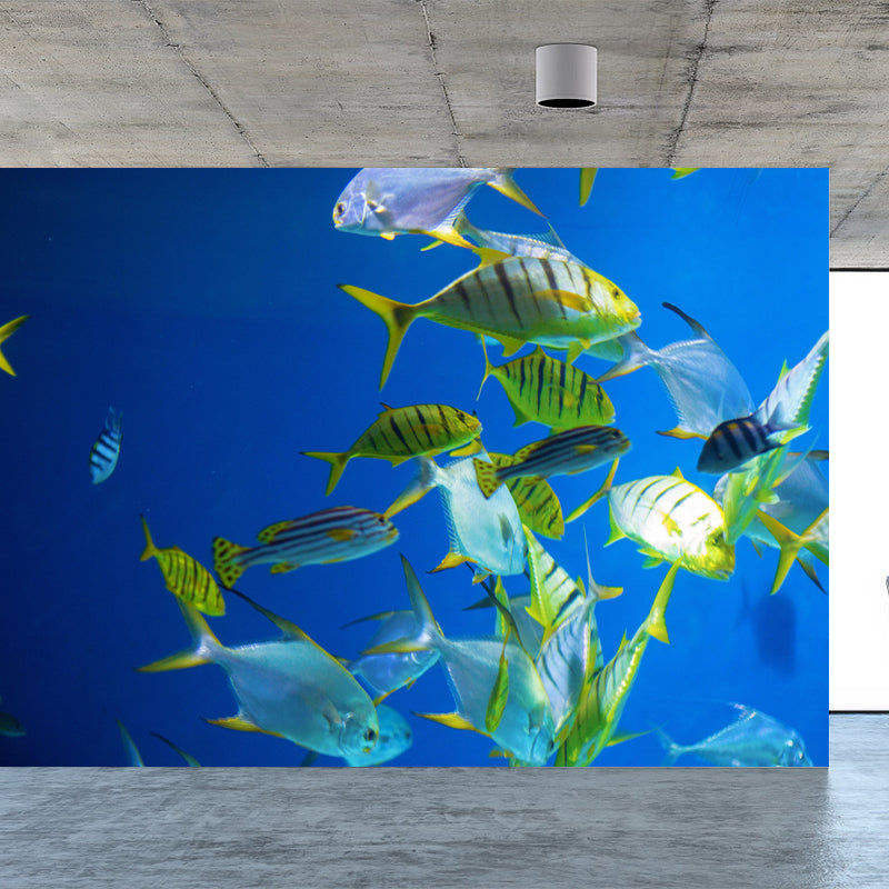 Underwater World Wall Mural Contemporary Decorative Wall Art for Decoration