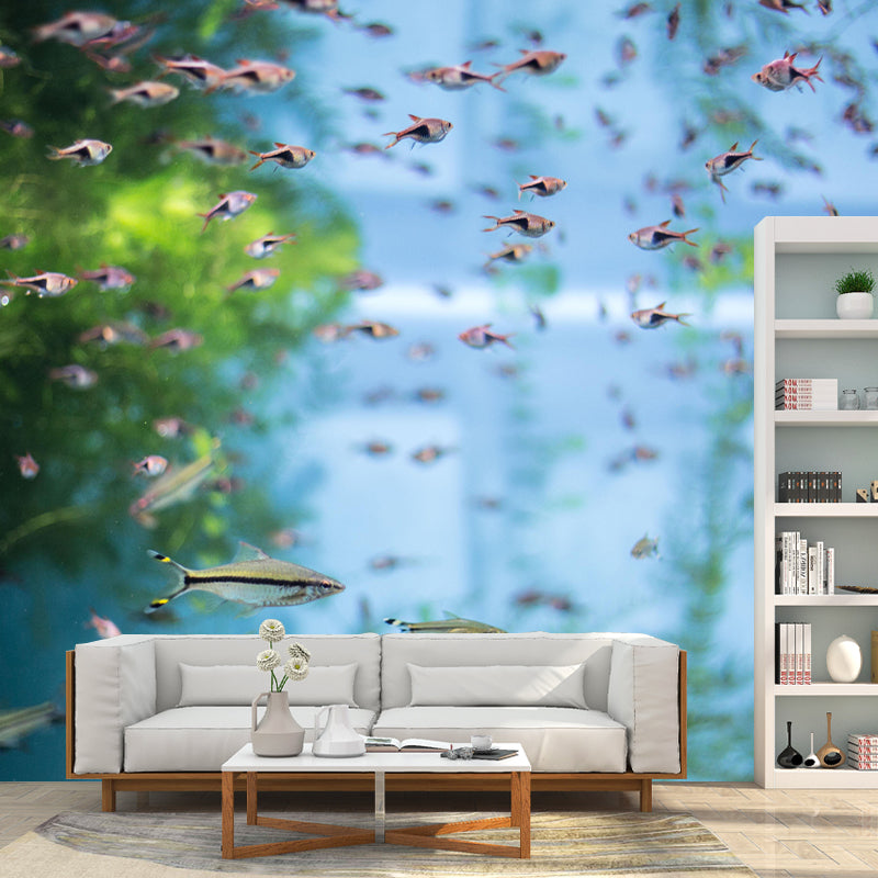 Contemporary Underwater World Wall Mural Wallpaper Eco-friendly in Bright Color