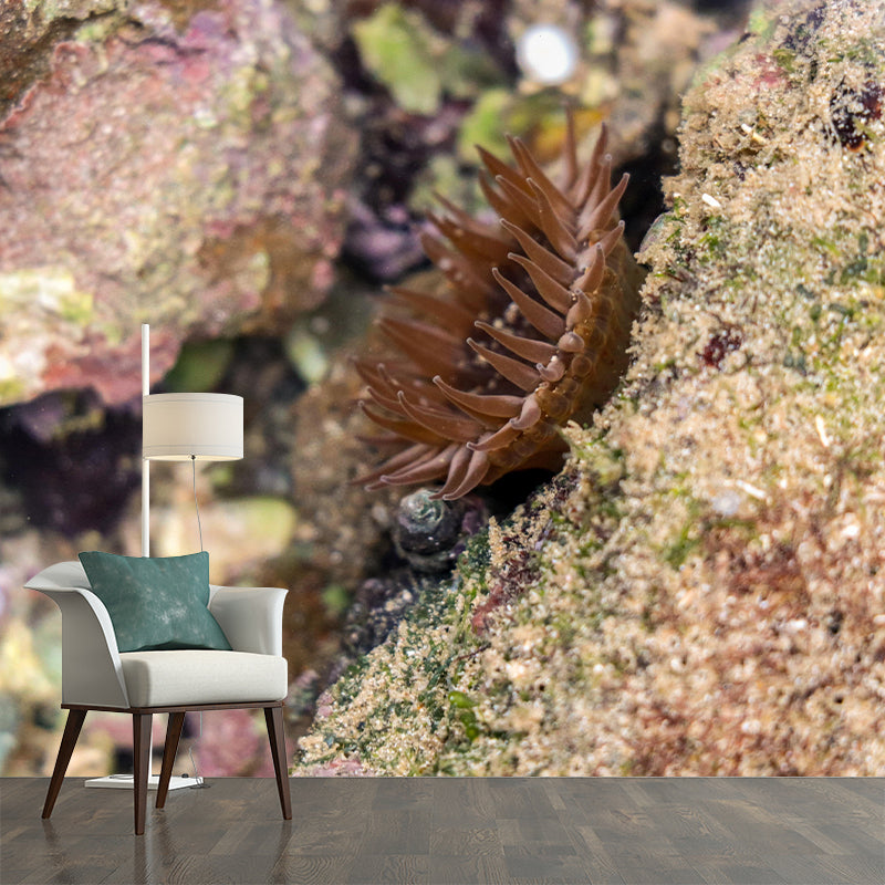 Photography Underwater World Wall Mural Contemporary Decorative Wall Murals for Bedrooms