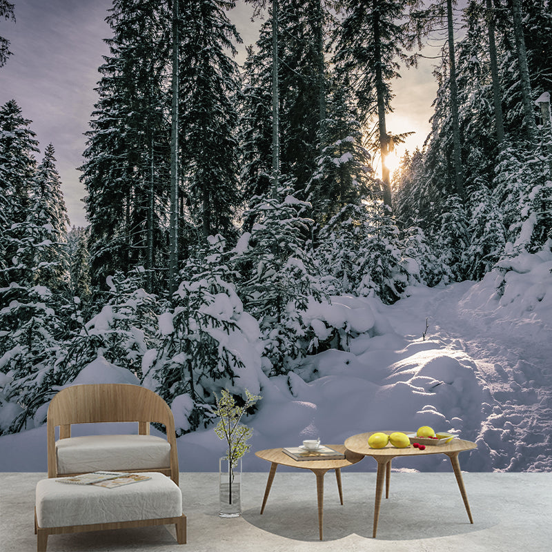 Contemporary Photography Landscape Wall Mural Decorative Wall Mural for Bedroom