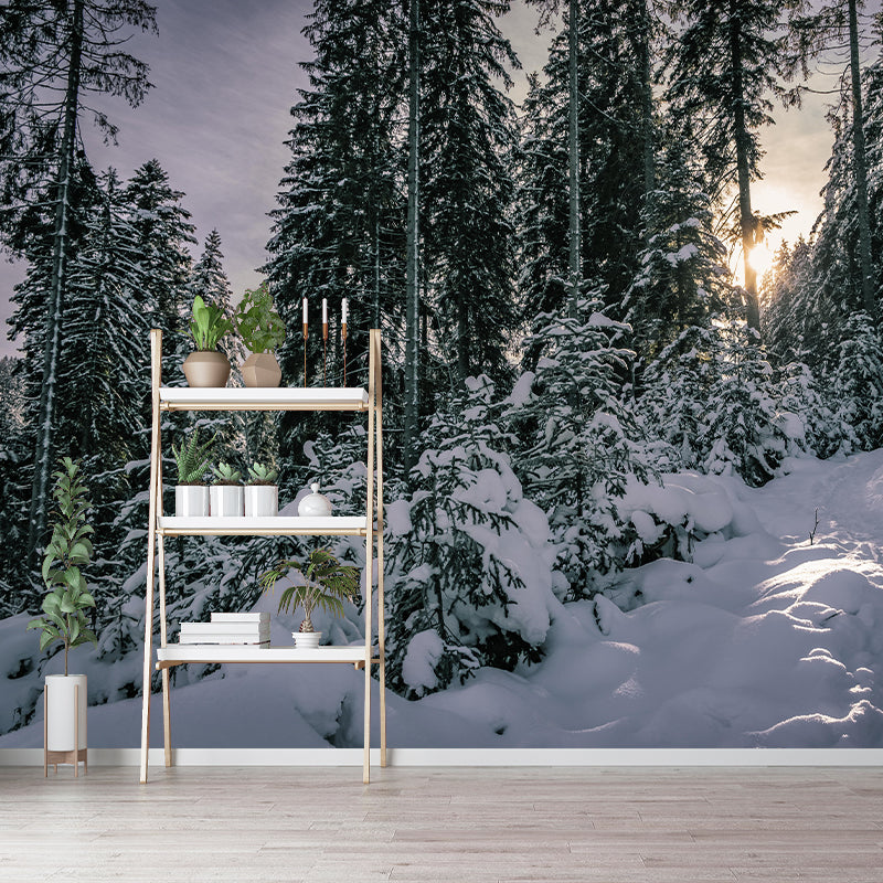 Contemporary Photography Landscape Wall Mural Decorative Wall Mural for Bedroom