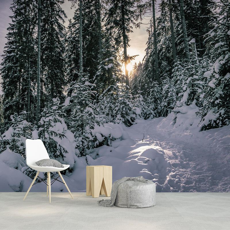 Contemporary Photography Landscape Wall Mural Decorative Wall Mural for Bedroom