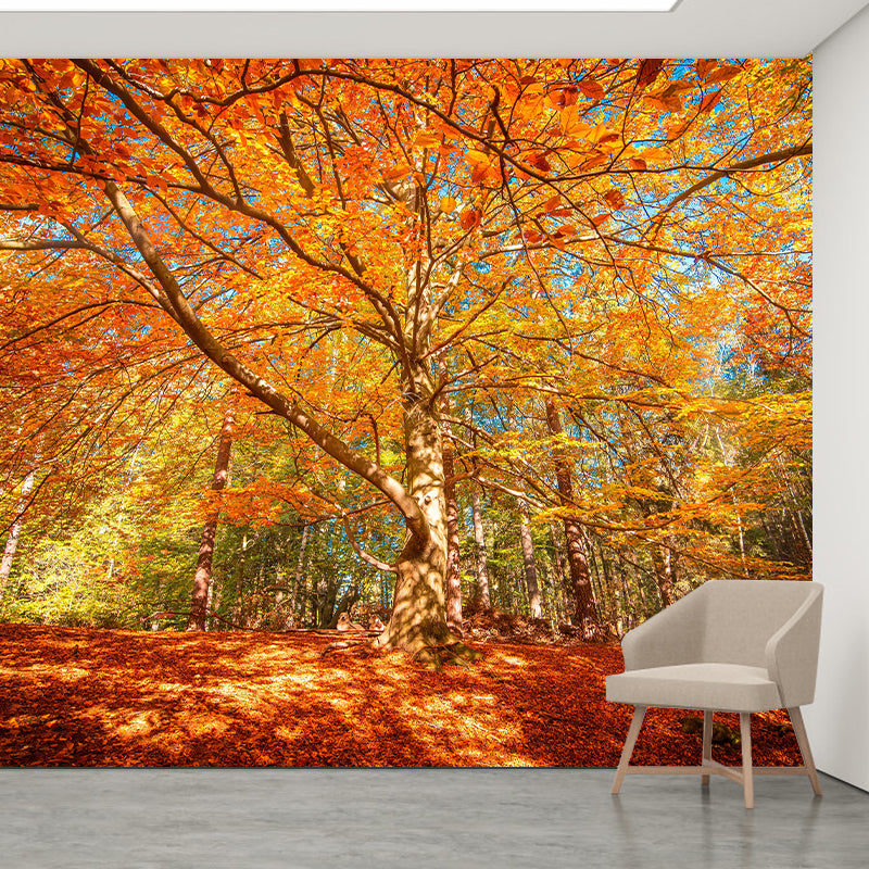 Natural Landscape Wall Mural Contemporary Decorative Living Room Wall Art