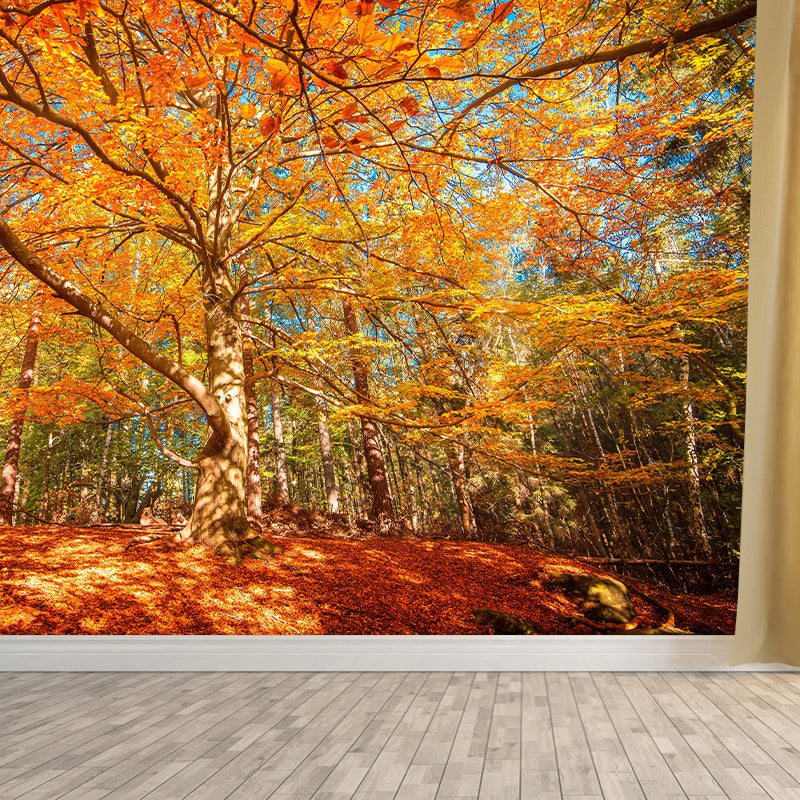 Natural Landscape Wall Mural Contemporary Decorative Living Room Wall Art