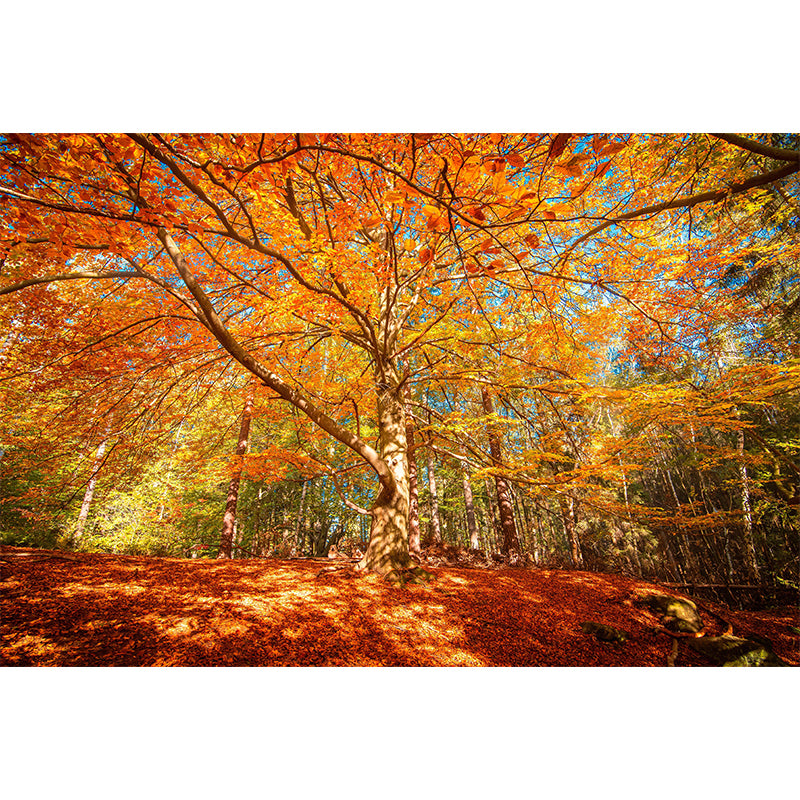 Natural Landscape Wall Mural Contemporary Decorative Living Room Wall Art