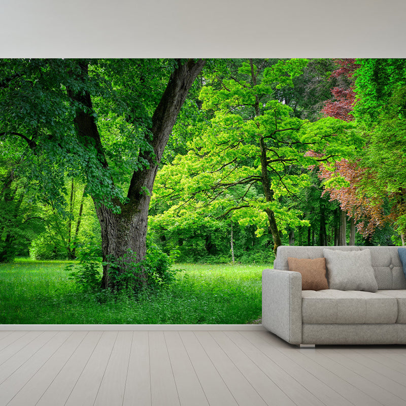 Natural Landscape Wall Mural Contemporary Decorative Living Room Wall Art