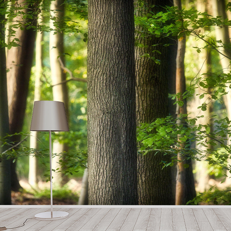 Natural Landscape Wall Mural Decorative Dining Room Wall Art for Decoration