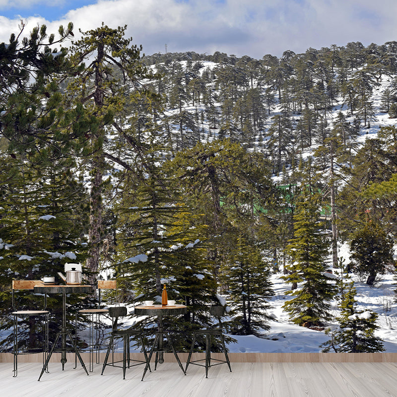 Natural Landscape Wall Mural Decorative Dining Room Wall Art for Decoration