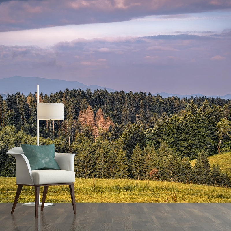 Photography Landscape Wall Mural Contemporary Decorative Wall Mural for Bedroom