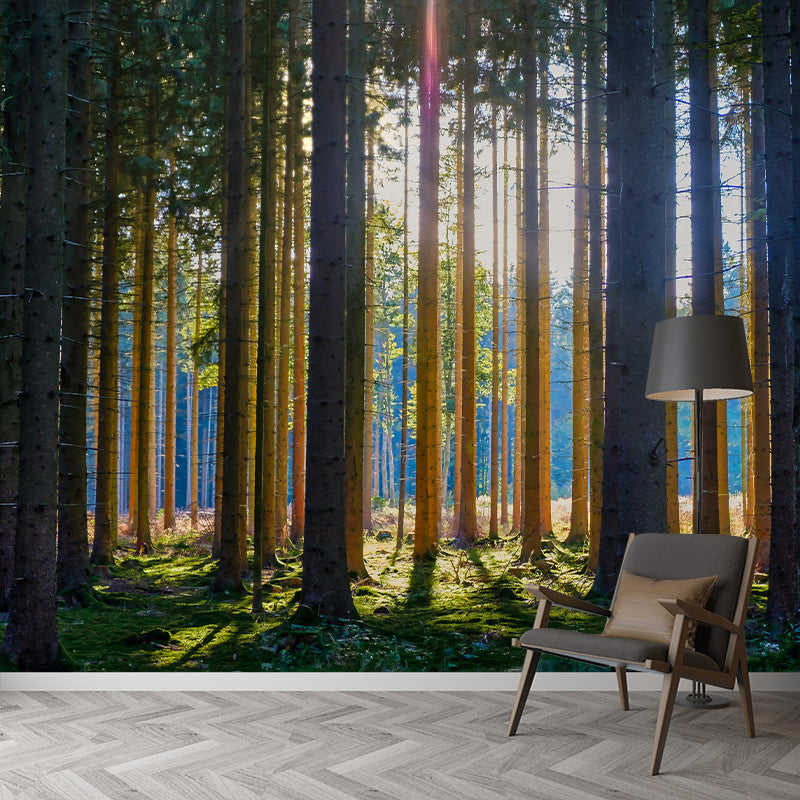 Forest Wall Mural Contemporary Photography Wall Covering for Wall Decor