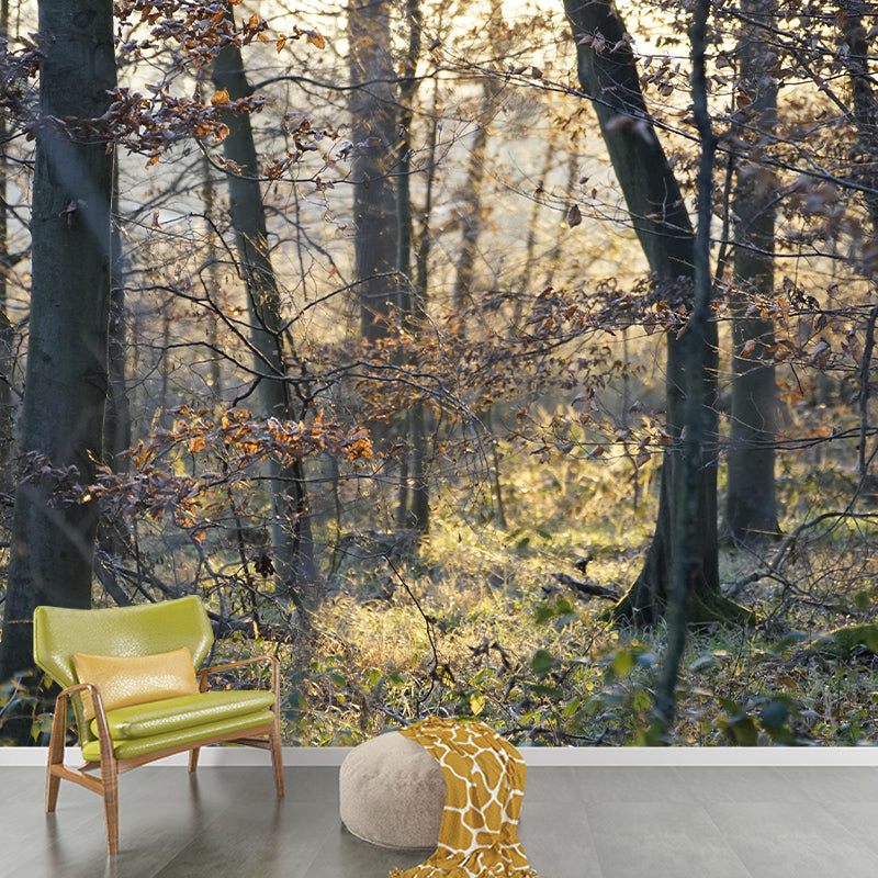 Forest Wall Mural Contemporary Photography Wall Covering for Wall Decor