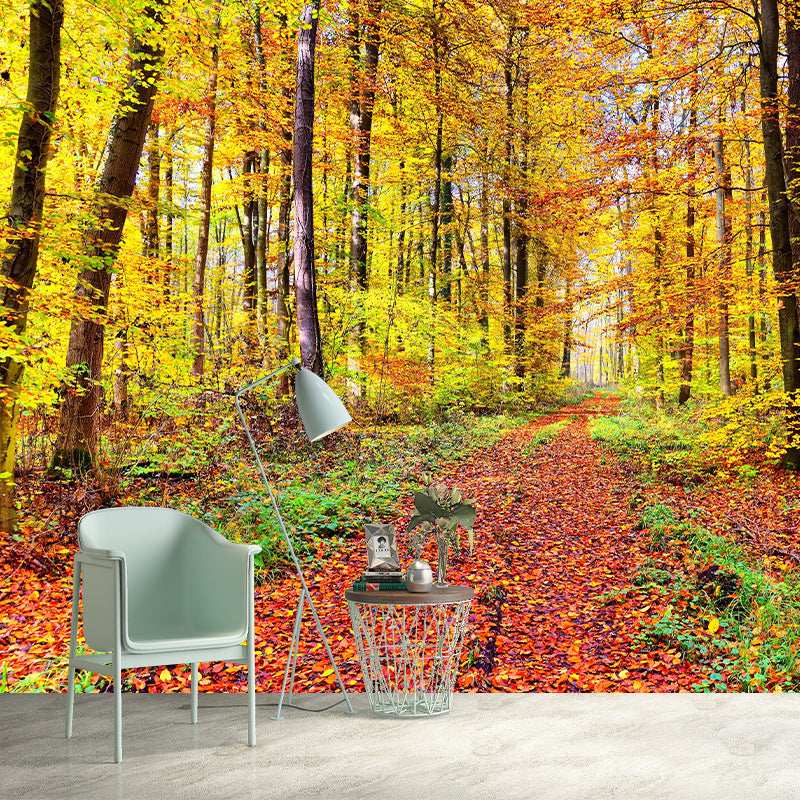 Forest Wall Mural Contemporary Photography Wall Covering for Wall Decor