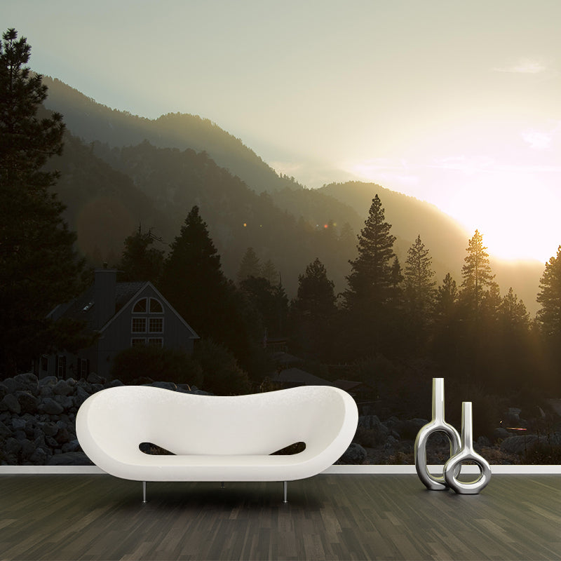 Natural Landscape Wall Mural Contemporary Decorative Living Room Wall Art for Decoration