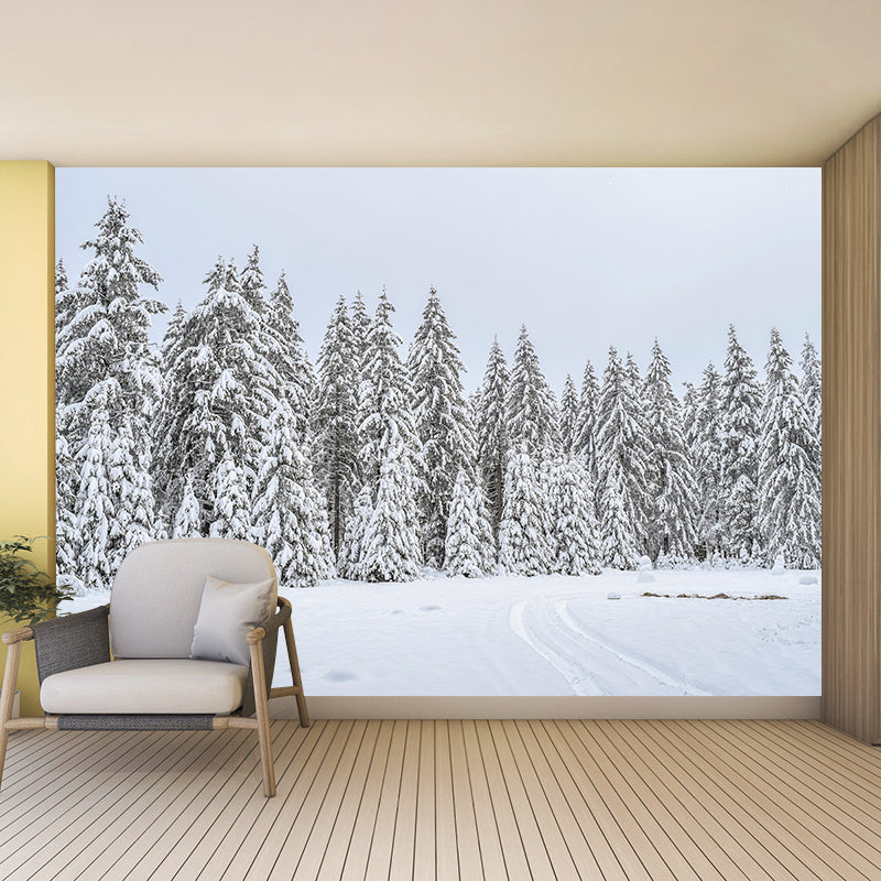 Natural Landscape Wall Mural Contemporary Decorative Living Room Wall Art for Decoration
