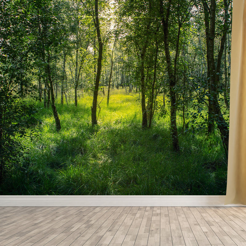 Natural Landscape Wall Mural Contemporary Decorative Living Room Wall Art for Decoration