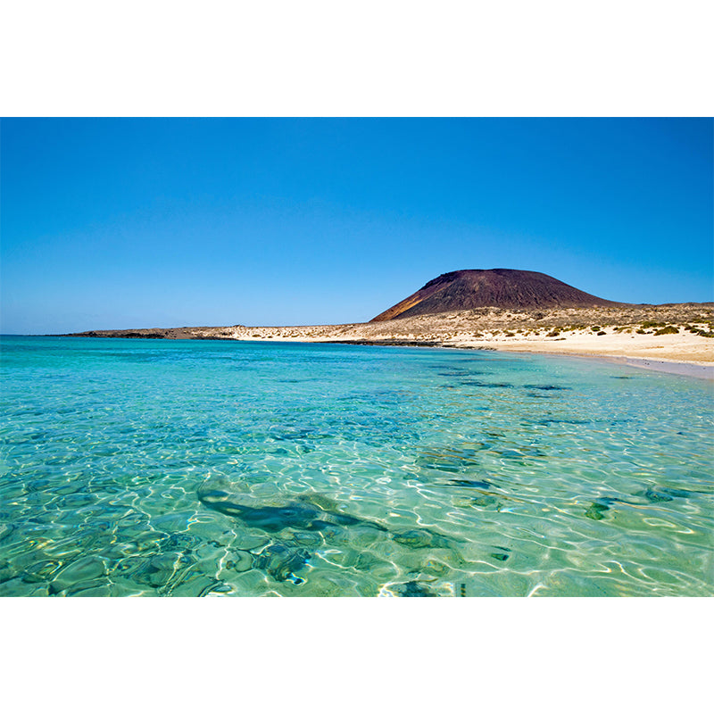 Boundless Sea Wall Mural Wallpaper Stain Resistant Wall Decor for Room