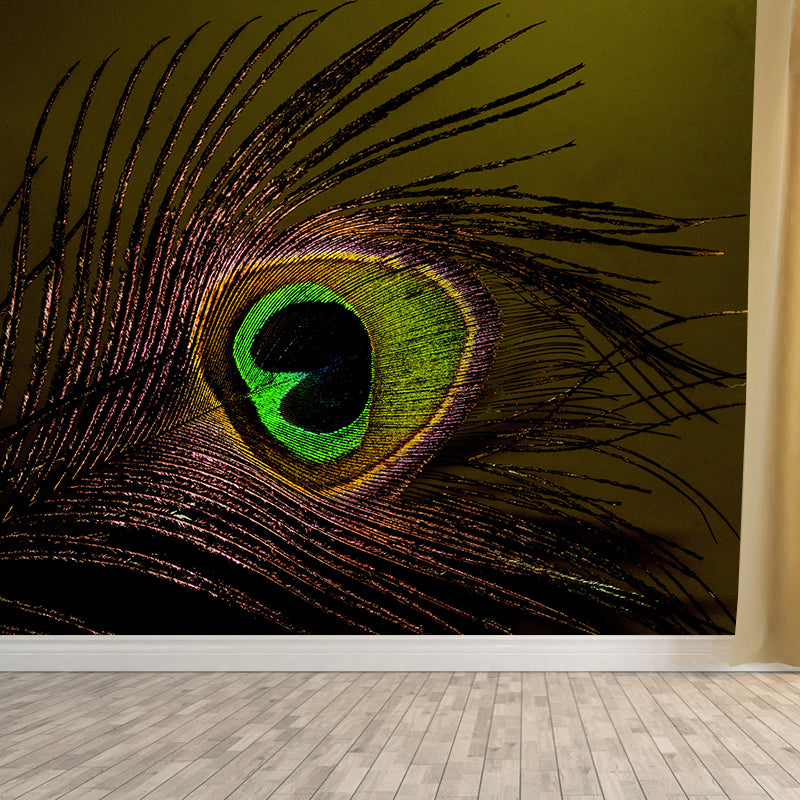 Peacock Feather Wall Mural Contemporary Home Decor Mildew Resistant for Home