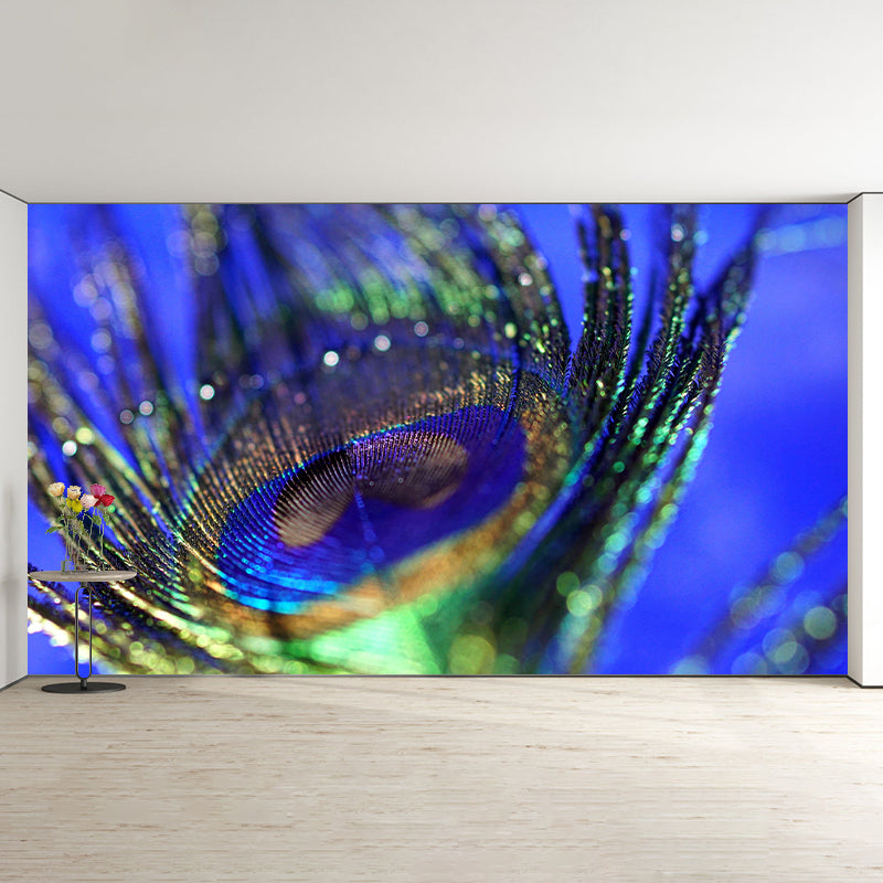 Peacock Feather Wall Mural Contemporary Home Decor Mildew Resistant for Home