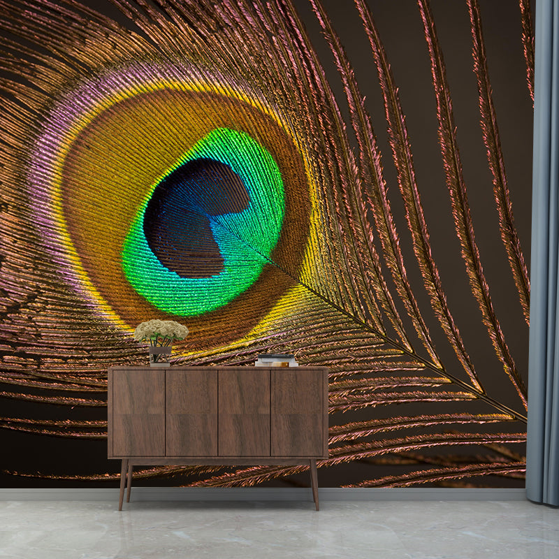 Peacock Feather Wall Mural Home Decor Mildew Resistant for Sitting Room