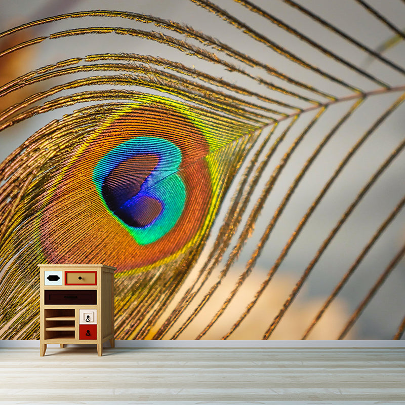 Peacock Feather Wall Mural Wallpaper Stain Resistant Wall Decor for Room