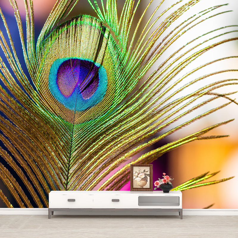 Peacock Feather Wall Mural Wallpaper Stain Resistant Wall Decor for Room