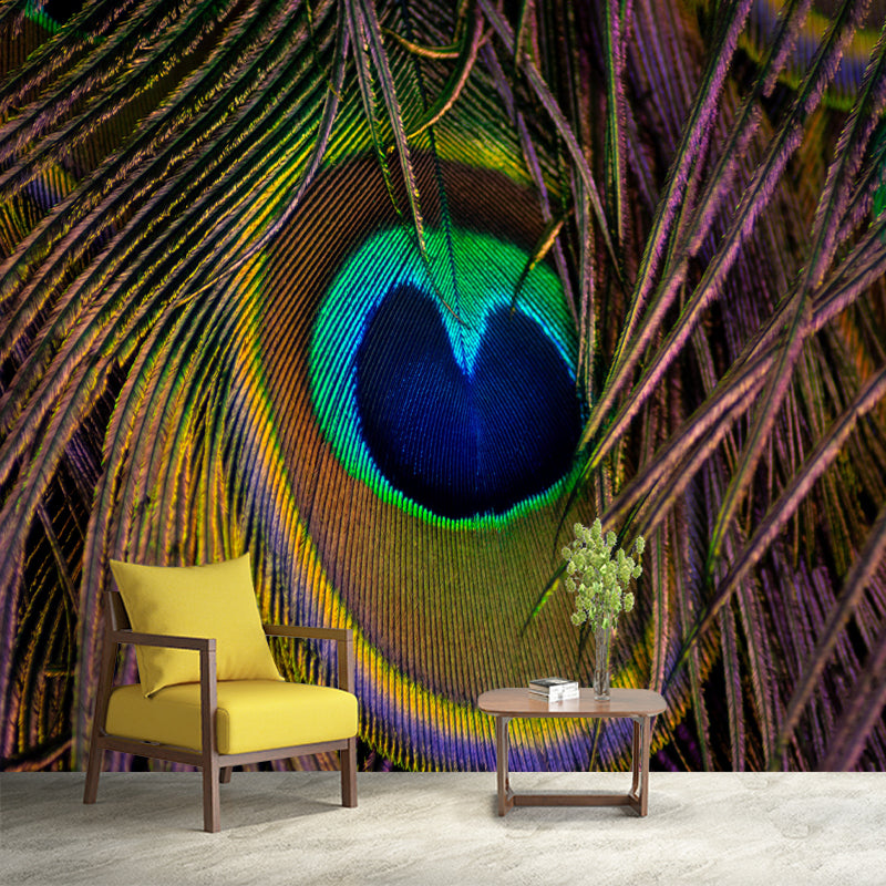 Peacock Feather Wall Mural Contemporary Home Decor Mildew Resistant for Room