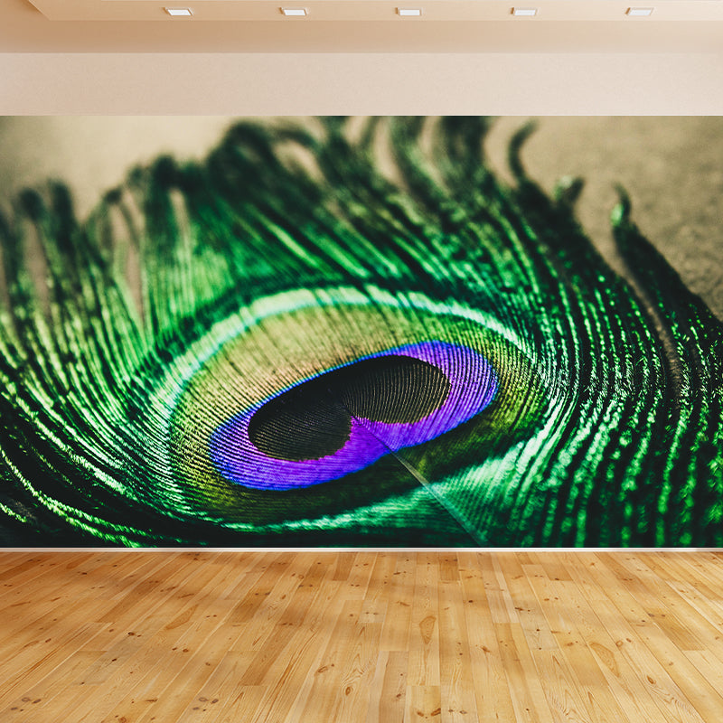 Peacock Feather Mural Modern Style Wall Covering for Sitting Room Decor