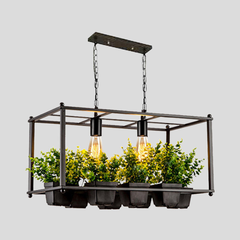 Black 2 Heads Island Lamp Industrial Metal Rectangular LED Plant Hanging Ceiling Light for Restaurant