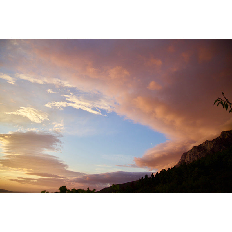 Beautiful Sky View Murals Stain-Resistant Wall Covering for Sitting Room