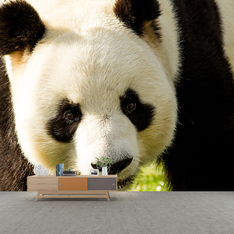 Cute Panda Mural Wallpaper Living Room Decoration, Personalized Size Available