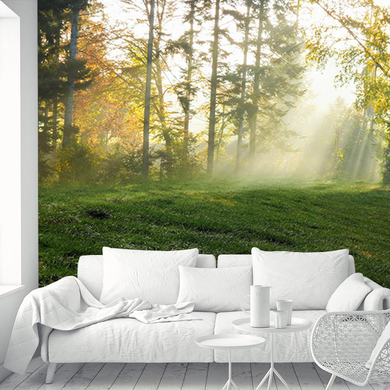 Forest Customized Mural Wallpaper Contemporary for Living Room Bedroom Decor