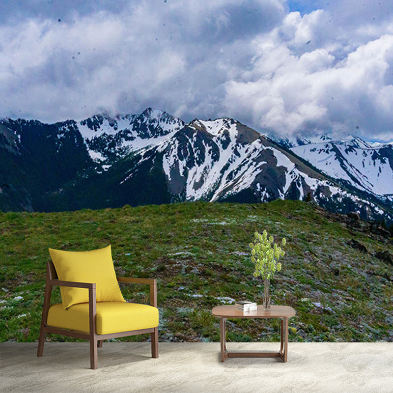 Moisture Resistant Mural Wallpaper for Home Decoration, Made to Measure