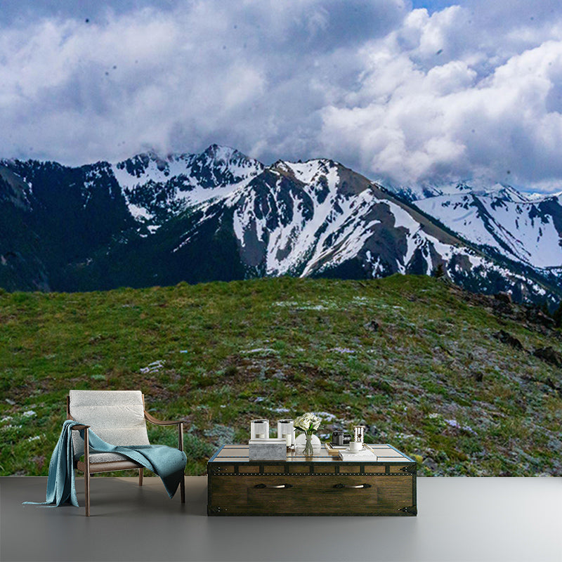 Moisture Resistant Mural Wallpaper for Home Decoration, Made to Measure