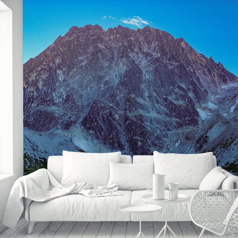 Moisture Resistant Mural Wallpaper for Home Decoration, Made to Measure