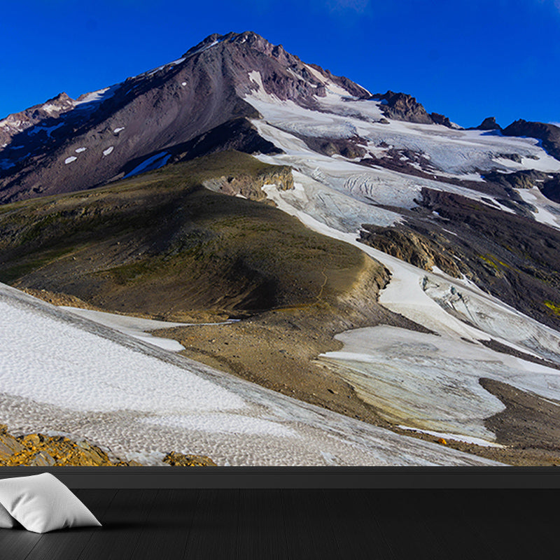 Moisture Resistant Mural Wallpaper for Home Decoration, Made to Measure