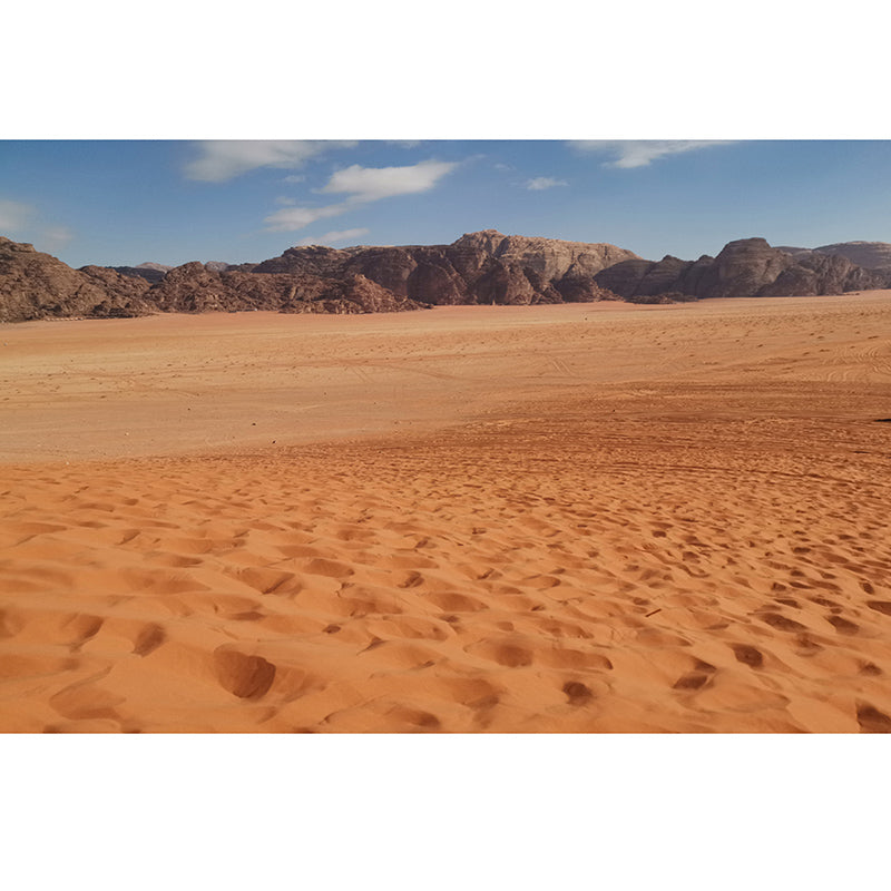 Desolate Desert Wall Murals Moisture Resistant Wall Covering for Living Room