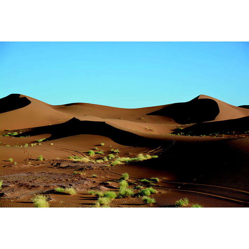 Desert Landscape Photo Wall Mural Stain Resistant Wall Art for Dining Room