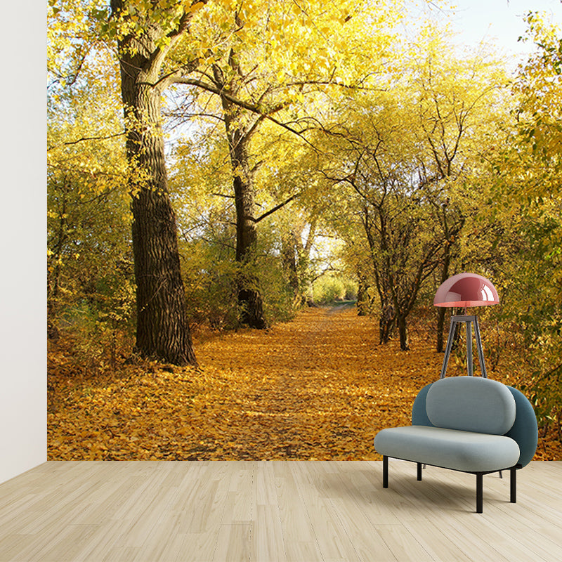 Forest Wall Murals Contemporary Environment Friendly Wall Art for Bedroom