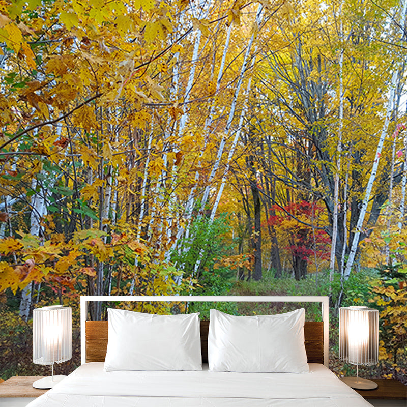 Forest Wall Murals Contemporary Environment Friendly Wall Art for Bedroom