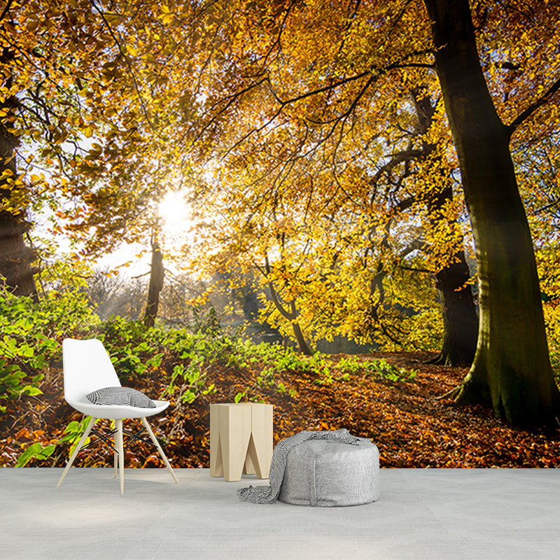 Forest View Mural Wallpaper Mildew Resistant Wall Covering for House Interior