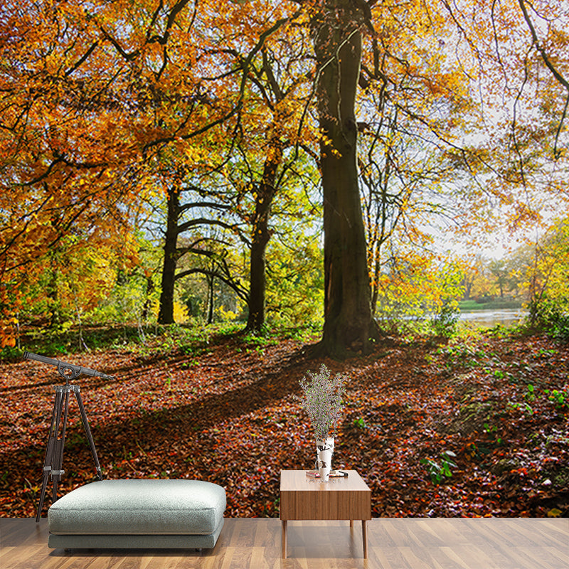 Forest View Mural Wallpaper Mildew Resistant Wall Covering for House Interior