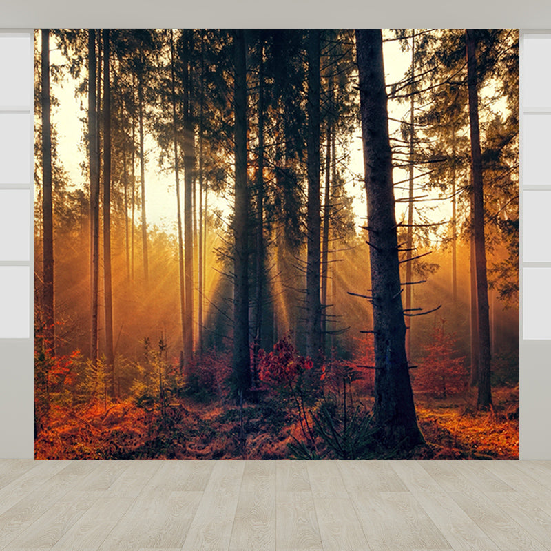 Forest Mural Wallpaper for Sitting Room Bedroom Decor, Moisture Resistant