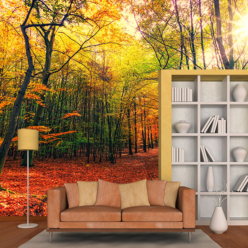 Forest Mural Wallpaper for Sitting Room Bedroom Decor, Moisture Resistant
