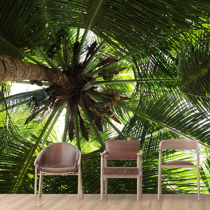 Horizontal Photography Palm Tree Mural Environment Friendly Wallpaper for Room