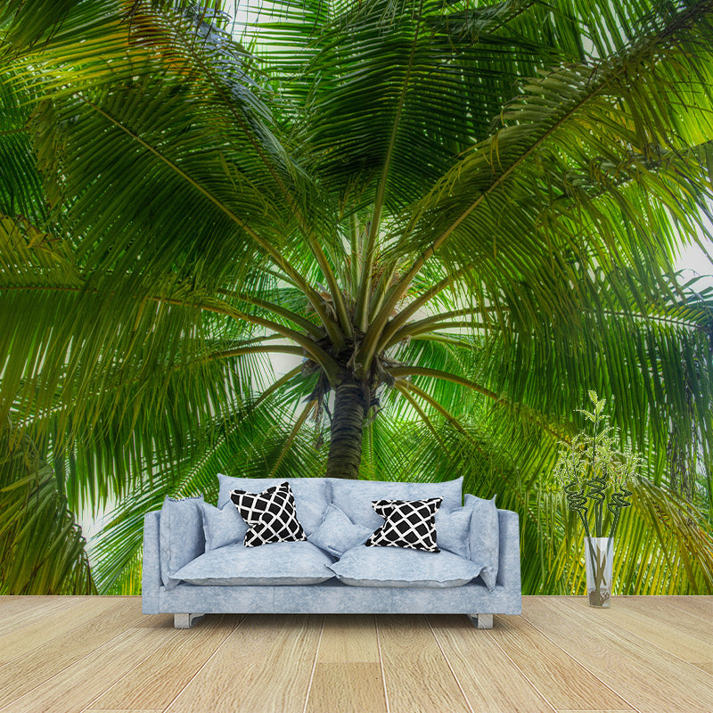 Horizontal Photography Palm Tree Mural Environment Friendly Wallpaper for Home
