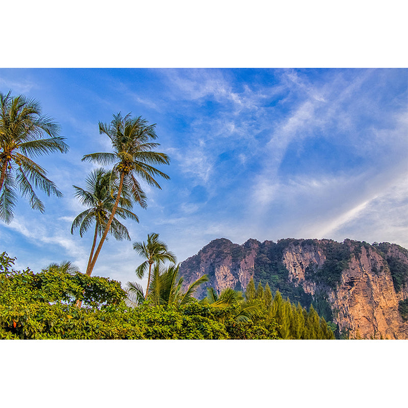 Horizontal Photography Palm Tree Mural Environment Friendly Wallpaper for Home