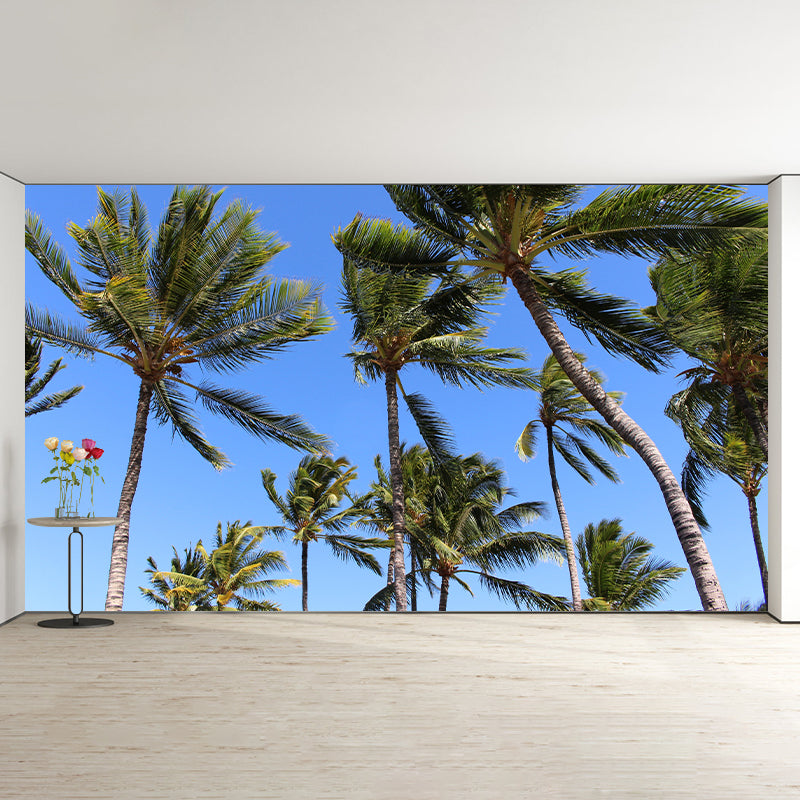 Photography Palm Tree Mural Environment Friendly Wallpaper for Home Decor