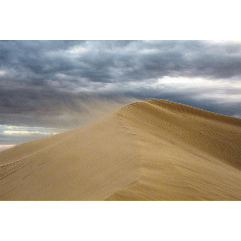 Horizontal Photography Desert Mural Environment Friendly Wallpaper for Decoration