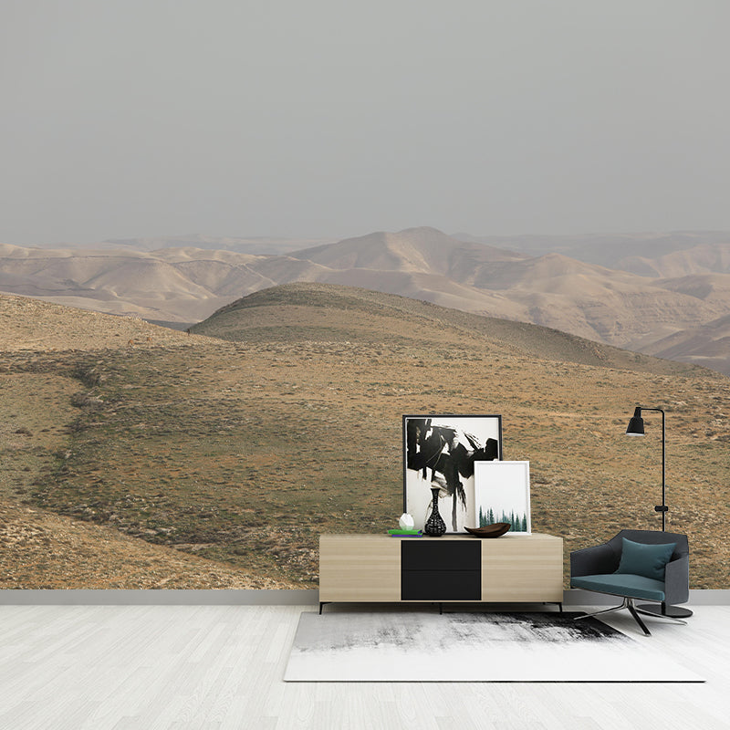 Photography Desert Mural Mildew Resistant Wallpaper for Fireplace