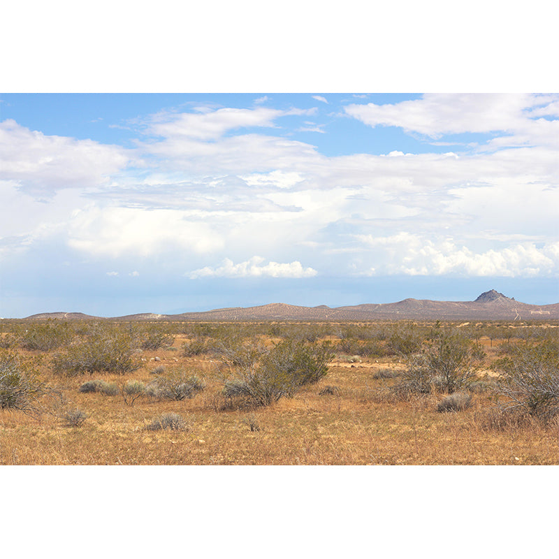 Horizontal Photography Desert Mural Environment Friendly Wallpaper for Wall Decor